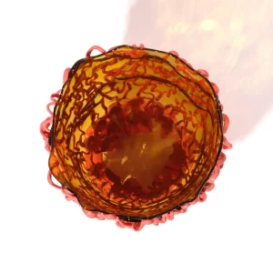 Medusa Vase - Clear Amber, Matt Dark Salmon
