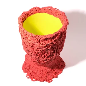 Moss Vase - Matt Sorbet And Fluo Yellow