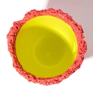 Moss Vase - Matt Sorbet And Fluo Yellow