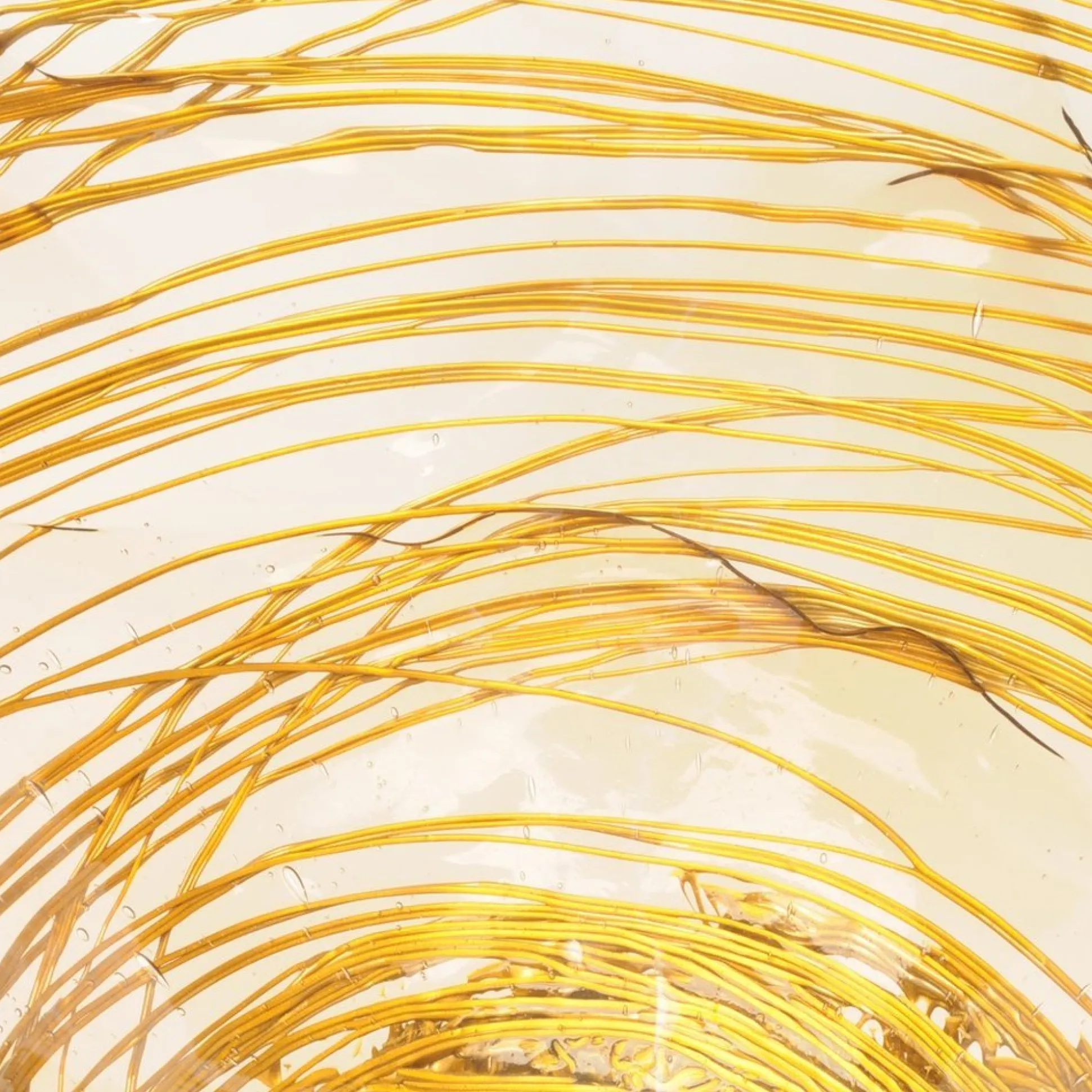 ogiva_vase__clear_and_gol_4.webp Ogiva Vase - Clear And Gold