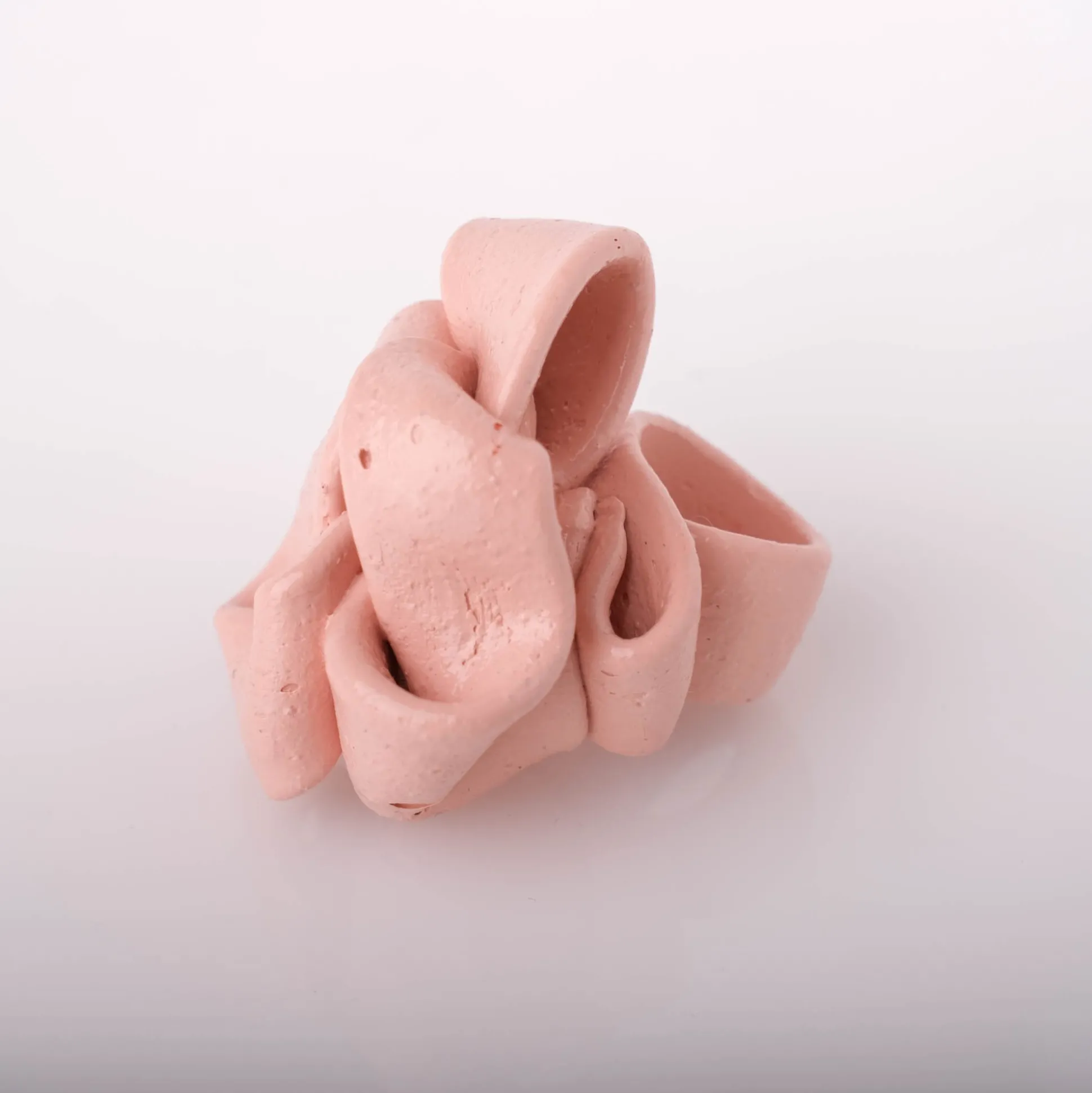 ribbon_ring__matt_salmon_1.webp Ribbon Ring - Matt Salmon