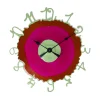 Round The Clock - Mint, Clear Fuchsia, Brown