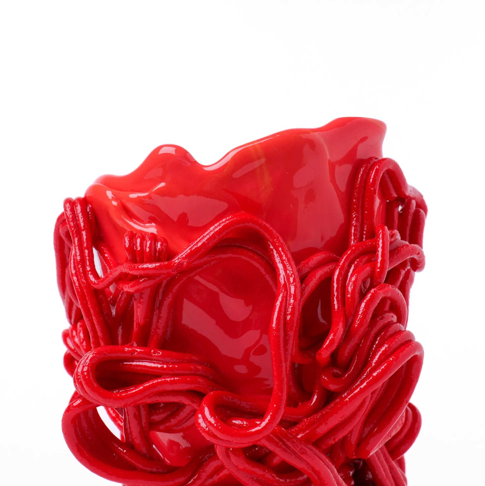 spaghetti_special_xs__mat_4-1.webp Spaghetti Special XS - Matt Coral