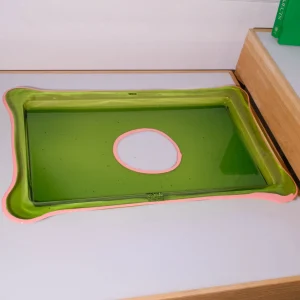 Try Tray Rectangular - Clear Bottle Green, Salmon