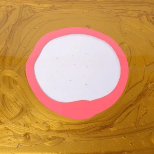 Try Tray Rectangular - Gold, Dark Salmon
