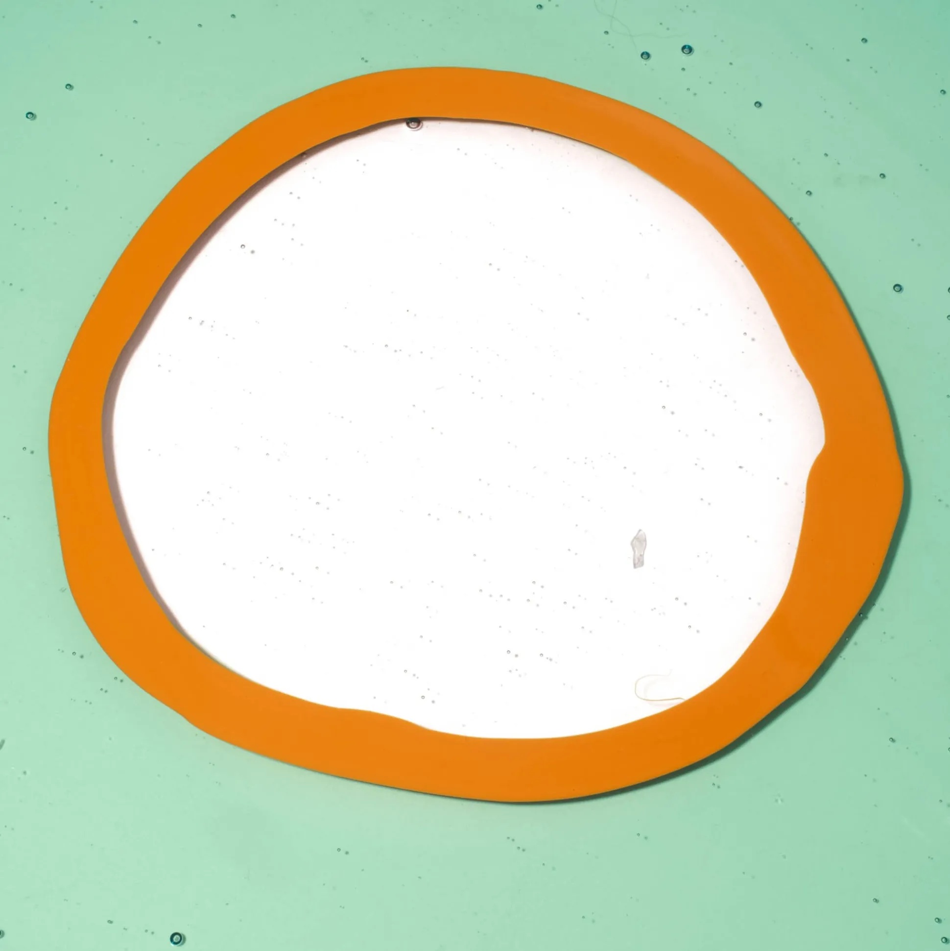 try_tray_round__clear_aqu_4.webp Try Tray Round - Clear Aqua, Ochre