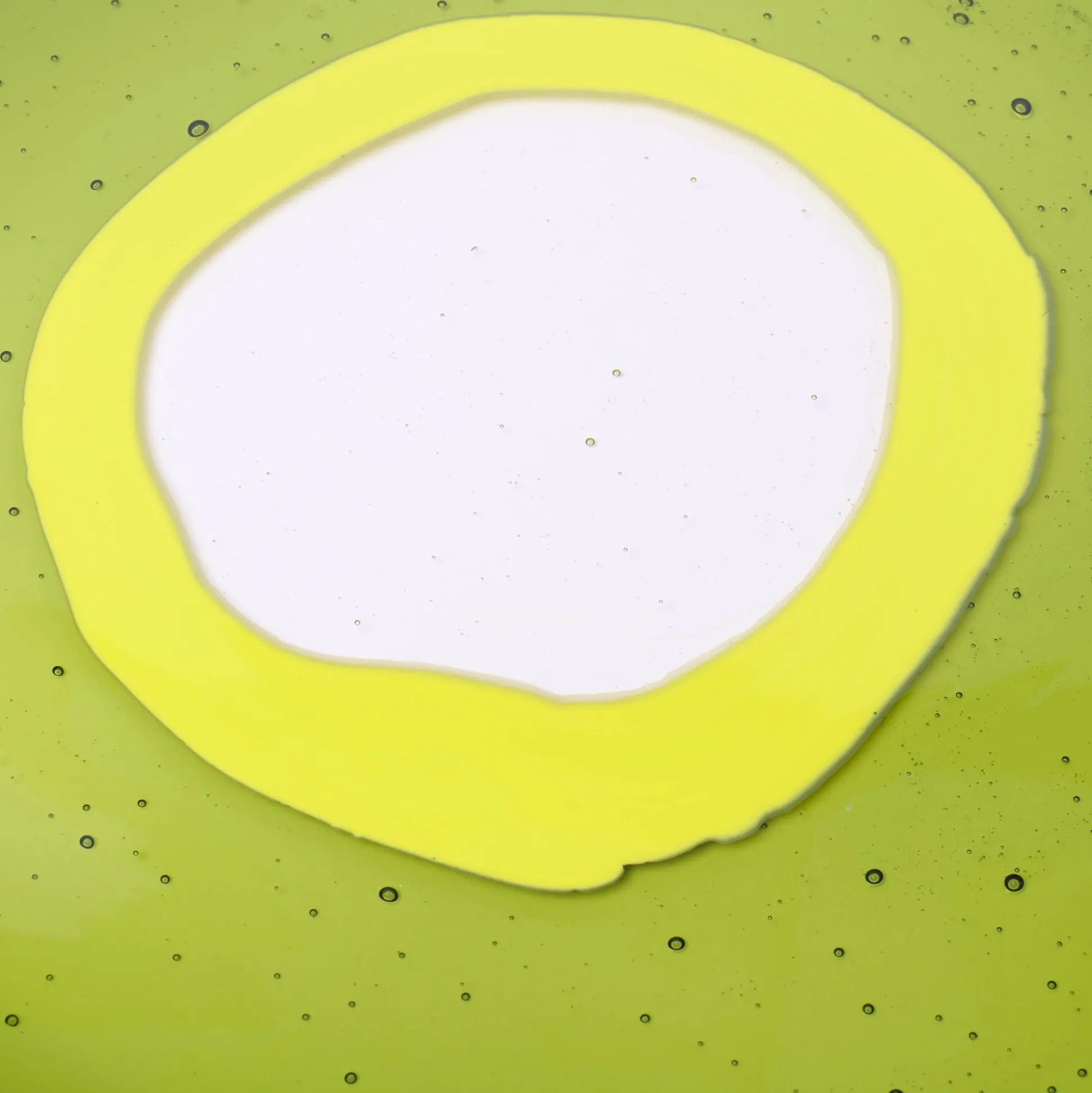 try_tray_round__clear_bot_3.webp Try Tray Round - Clear Bottle Green, Fluo Yellow